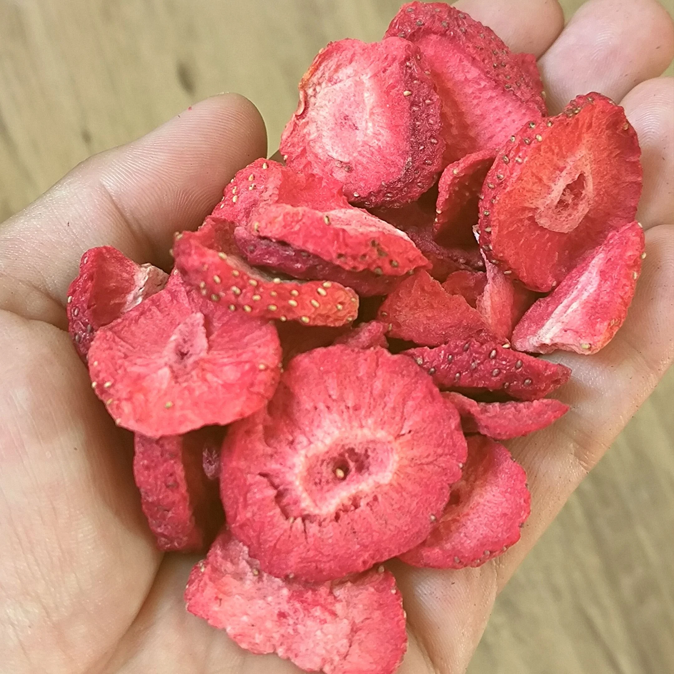 ZingyZoo Pure and Natural Crunchy Freeze Dried Strawberry Slices